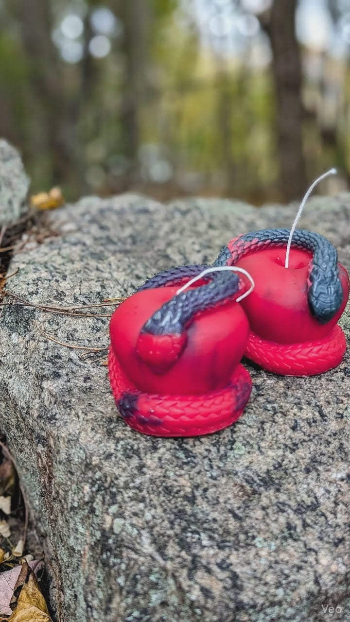 3D Apple Snake Handmade Candle - Unique Red & Black Design for Home Decor and Aromatherapy