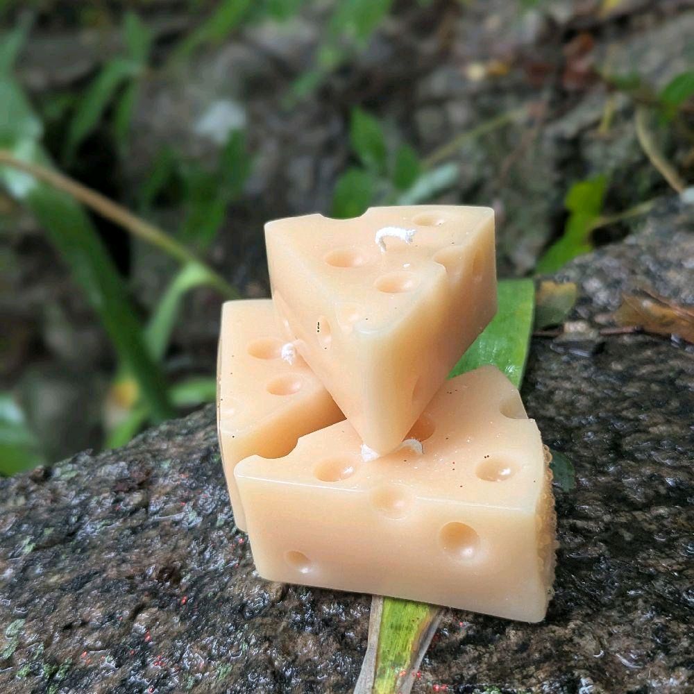 Cheese Shaped Soy Wax Candle Handcrafted Non Toxic Eco Friendly Decorative Light Source for Home Decor