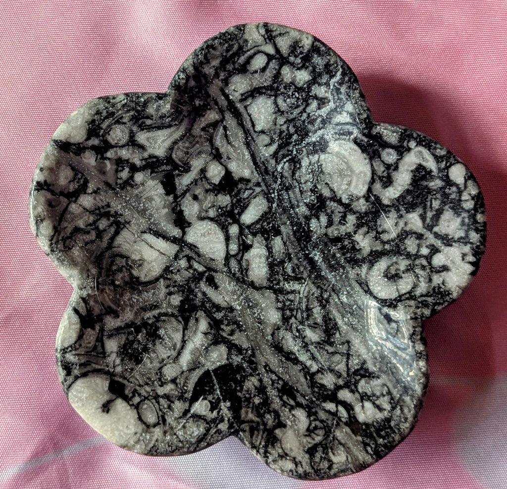 Colored snail fossil (M)