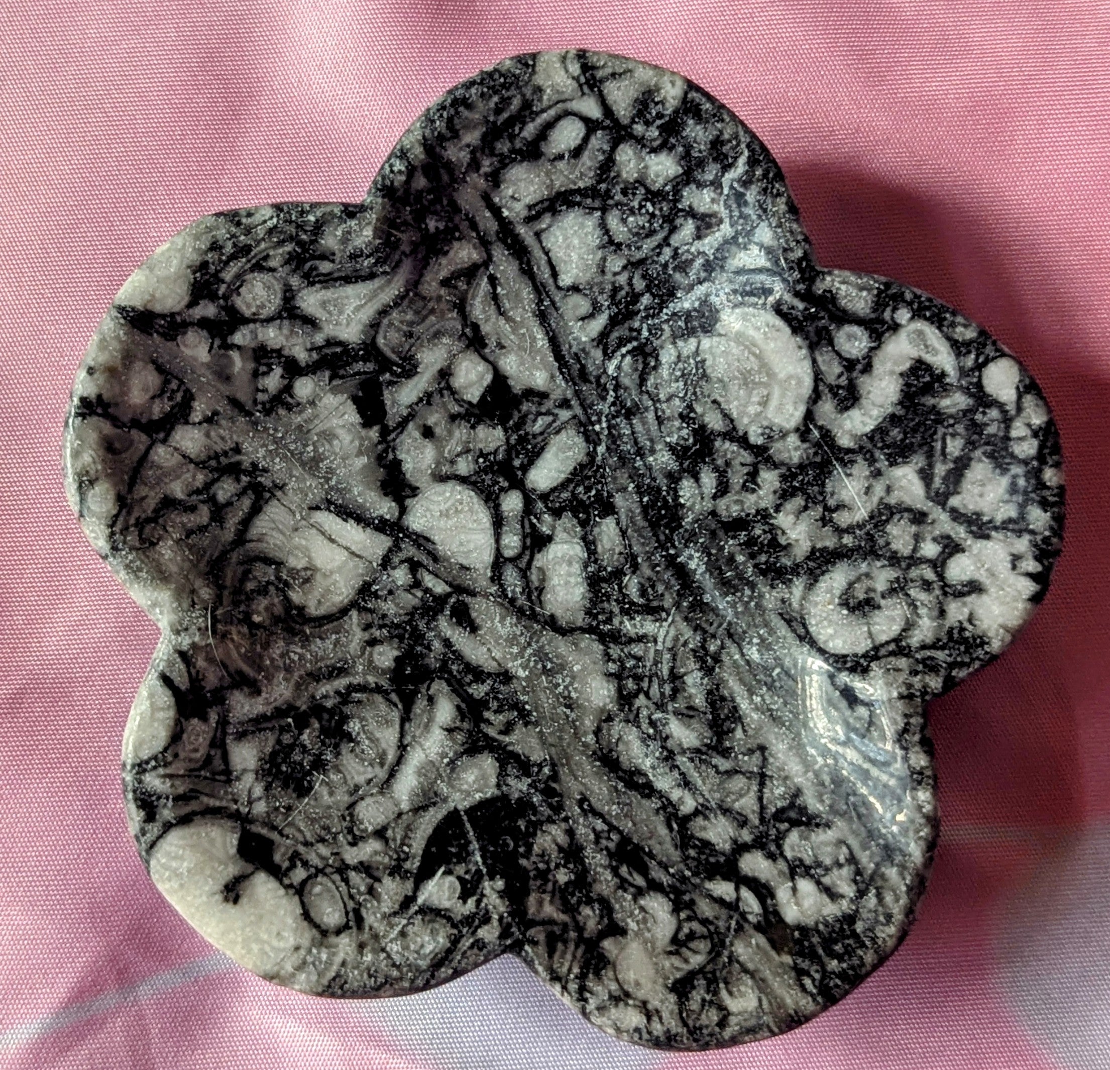 Colored snail fossil (M)