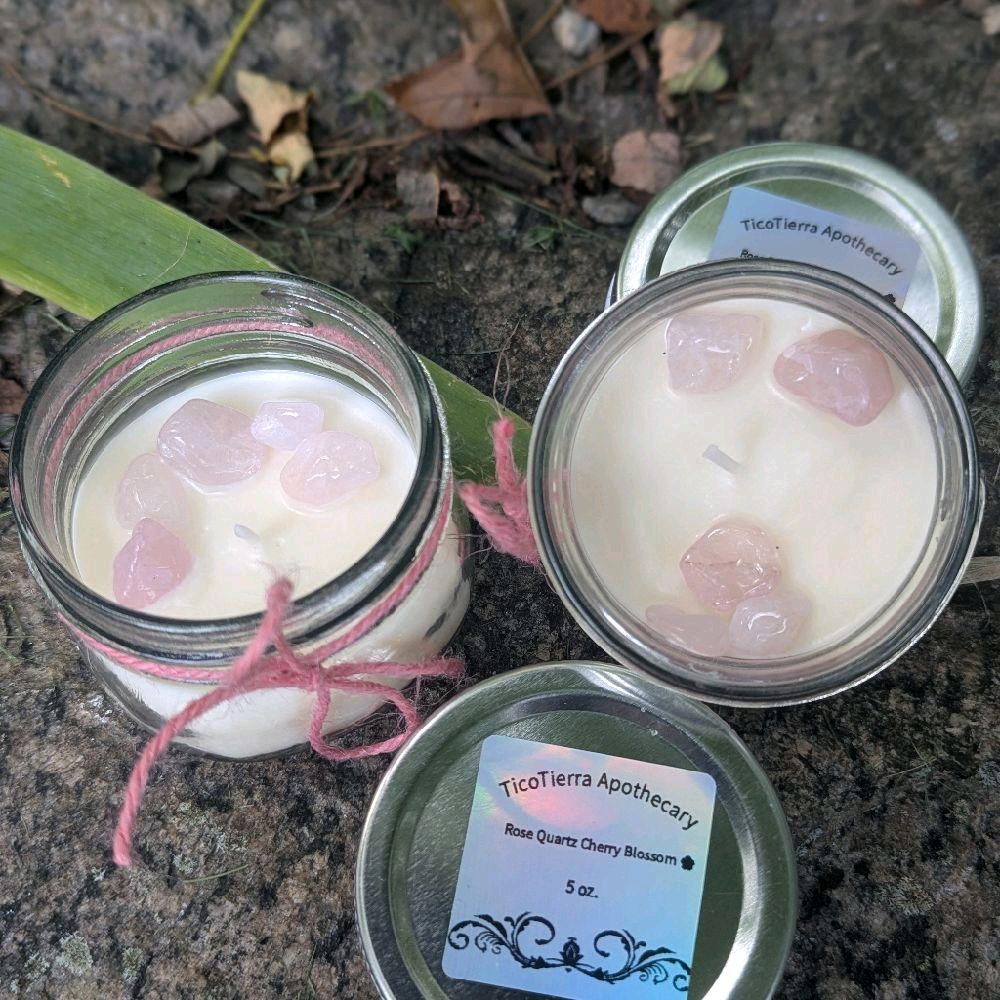 Intentional Candles Infused with Crystals and Essential Oils Wild Lavender Blueberry Scented