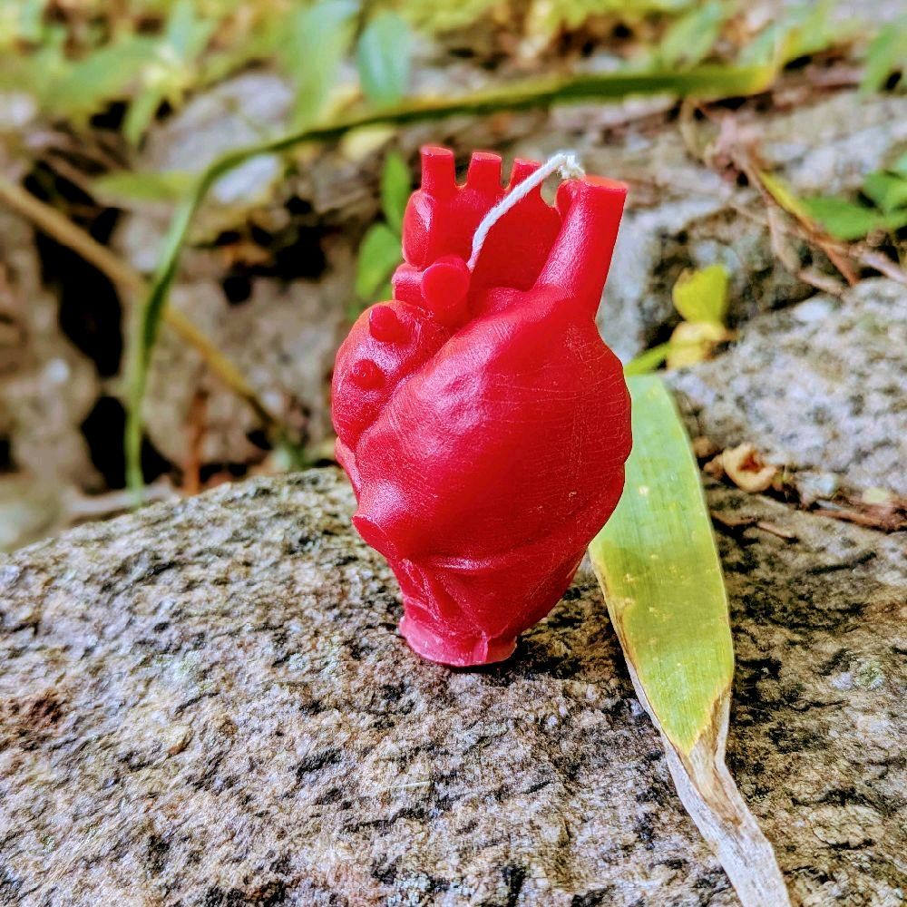 Human 3D Heart Decorative Candle - Red, Decorative, and Artistic