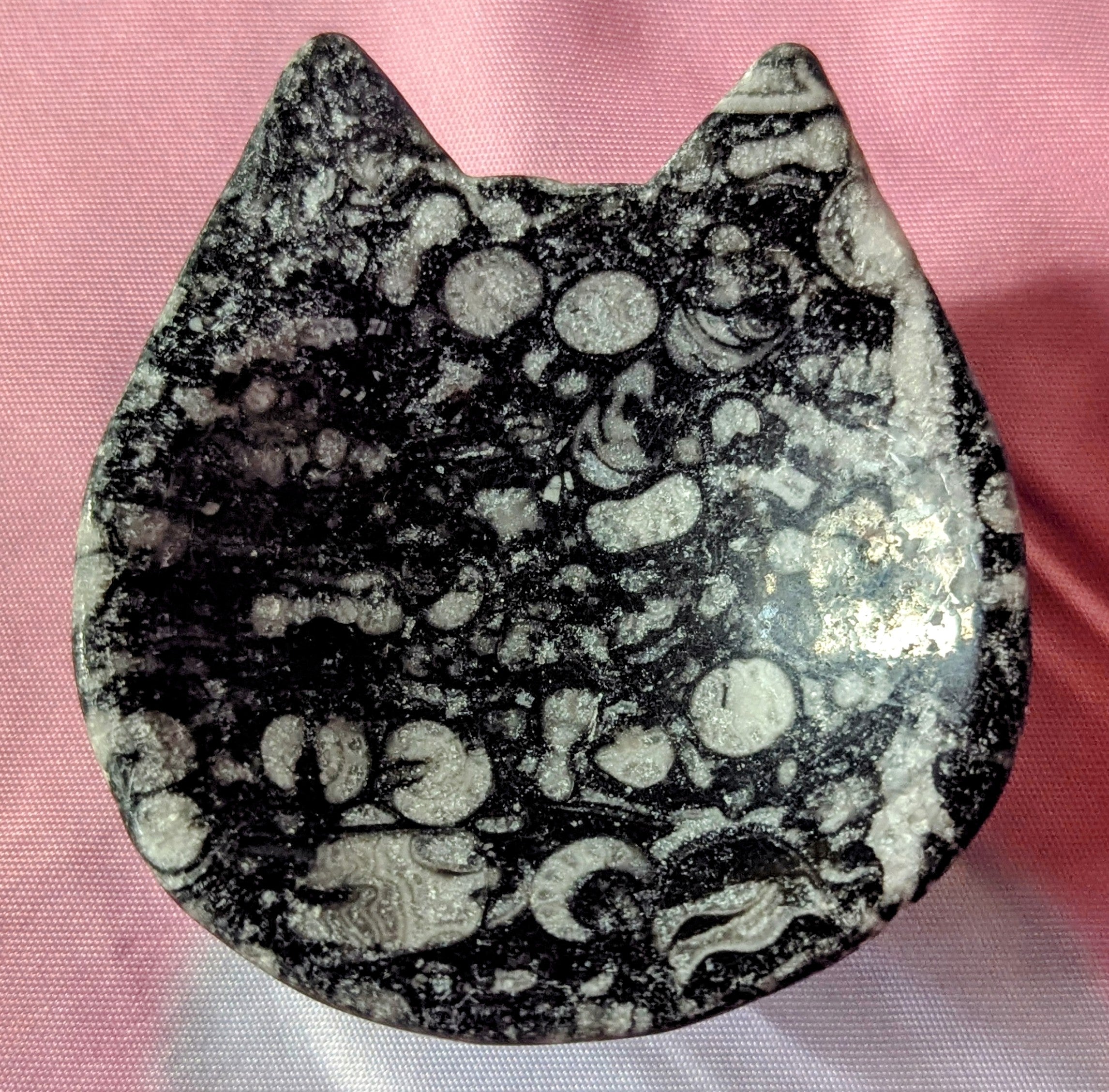 Colored snail fossil (M)
