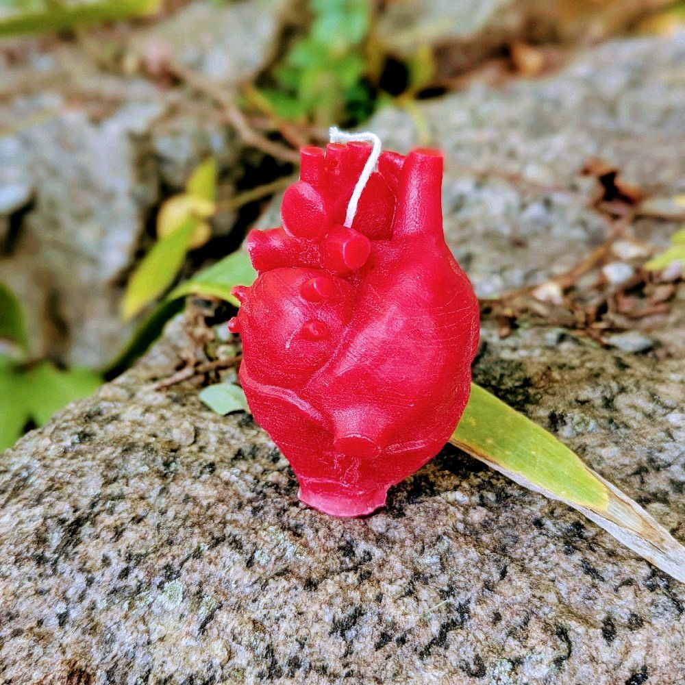 Human 3D Heart Decorative Candle - Red, Decorative, and Artistic