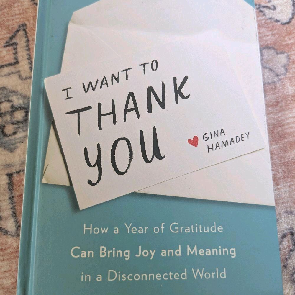 Gina Hamady I Want to Thank You: How a Year of Gratitude Can Bring Joy and Meaning in a Disconnected World Book