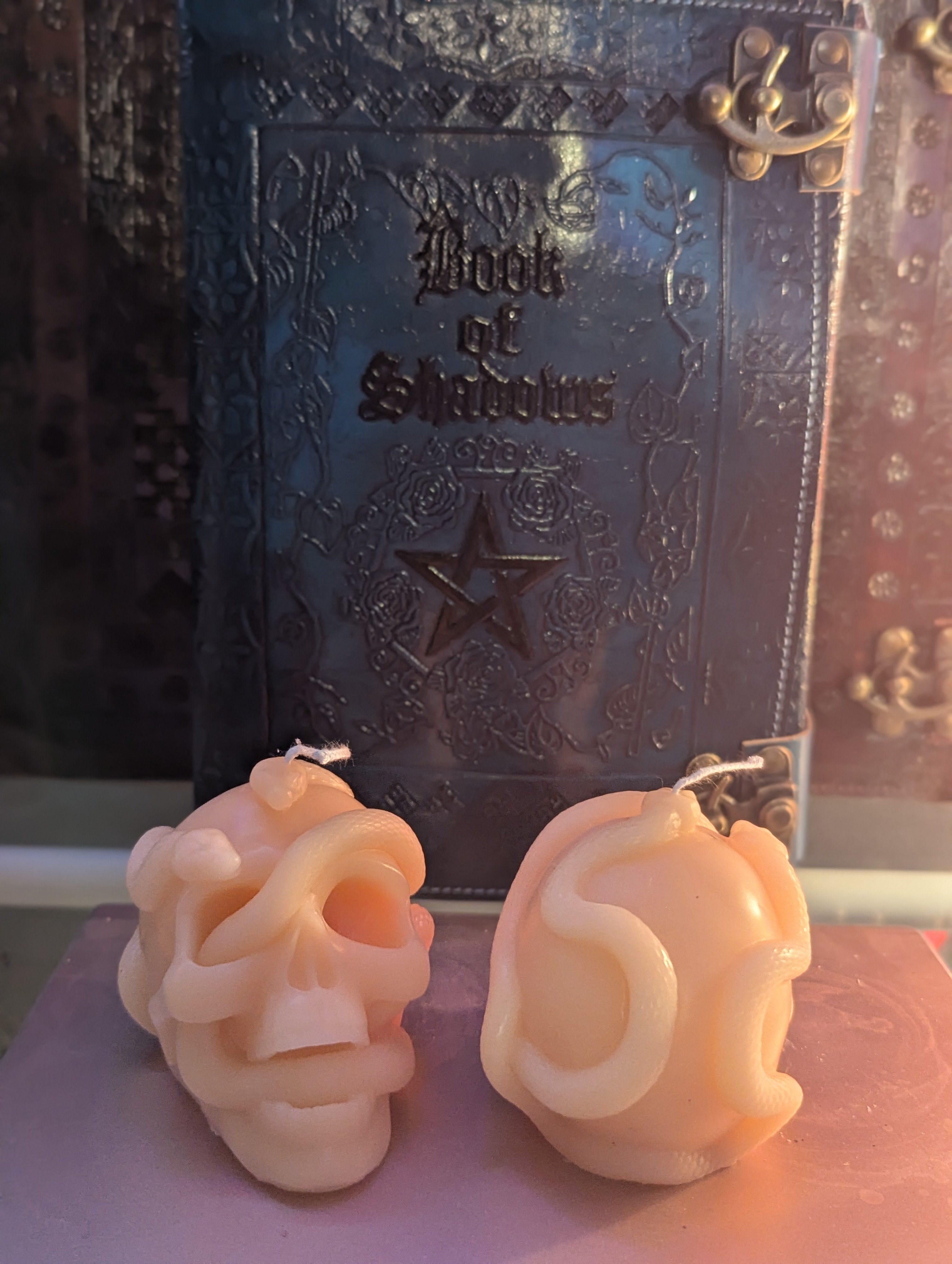 Skull with Snake handmade candle