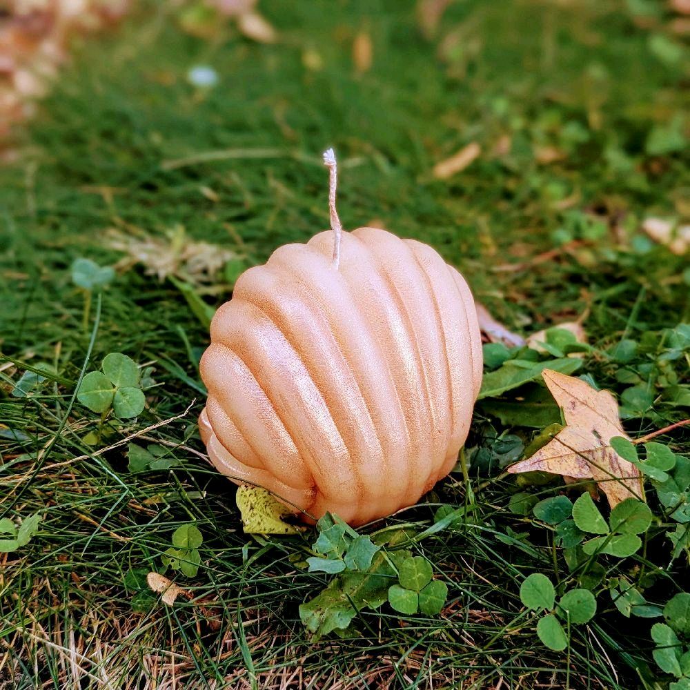 Pearl Shell Candle - Unique Decorative Candle for Home Decor and Aromatherapy